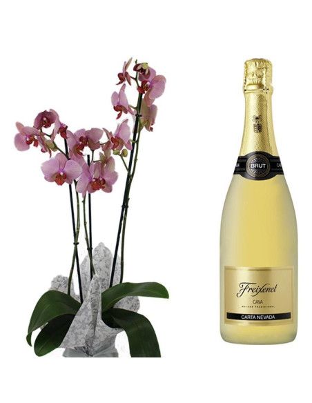 Orquídea de tres tallos y cava - Floristería Mallorca