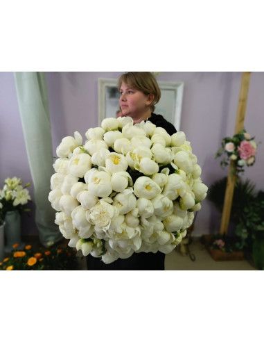Ramo de Regalo 101 Peonías | Floristería Mallorca