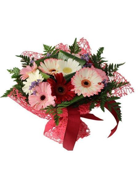 Gerbera Strauß - Mallorca Florist