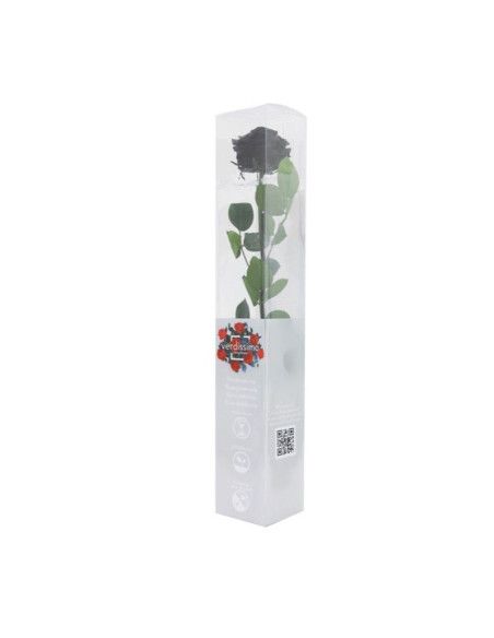 Eternal rose black - Florist Mallorca
