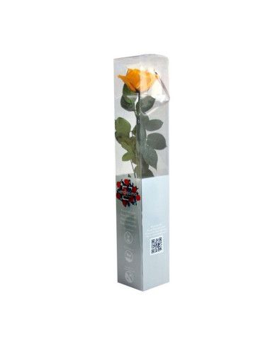 Rose ewig gelb - Florist Mallorca
