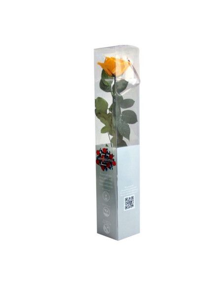 Rose ewig gelb - Florist Mallorca