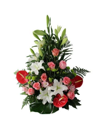 Blumenzentrum "Carol" - Mallorca Florist