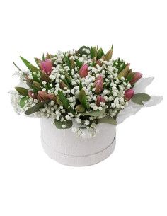 Schachtel Tulpen "Noelia" - Floristería Mallorca