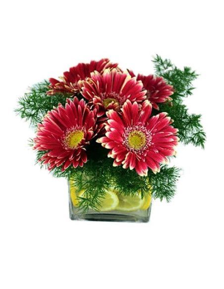 Centerpiece "Limoncello" - Mallorca florist