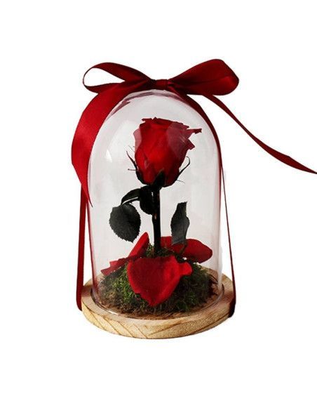 Haubenschönheit und kleines Tier - Mallorca-Florist
