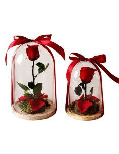 Dome beauty and small beast - Mallorca florist 2
