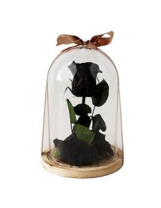 Kleine schwarze Rosenkuppel - Mallorca Florist