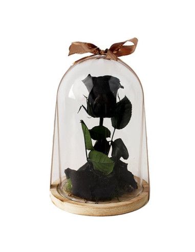 Small black rose dome - Mallorca Florist