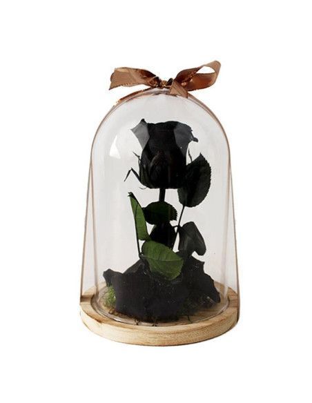 Kleine schwarze Rosenkuppel - Mallorca Florist
