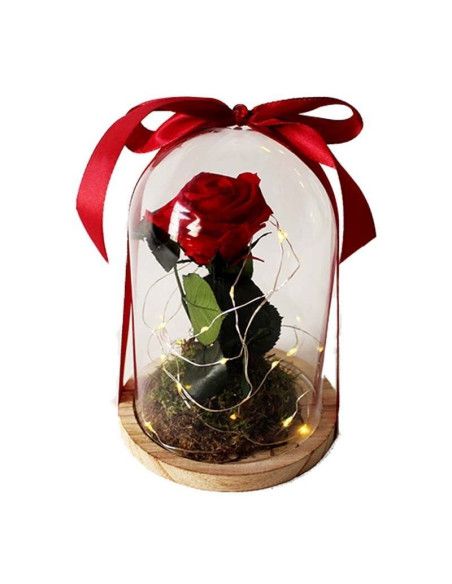 Small dome with light - Mallorca florist