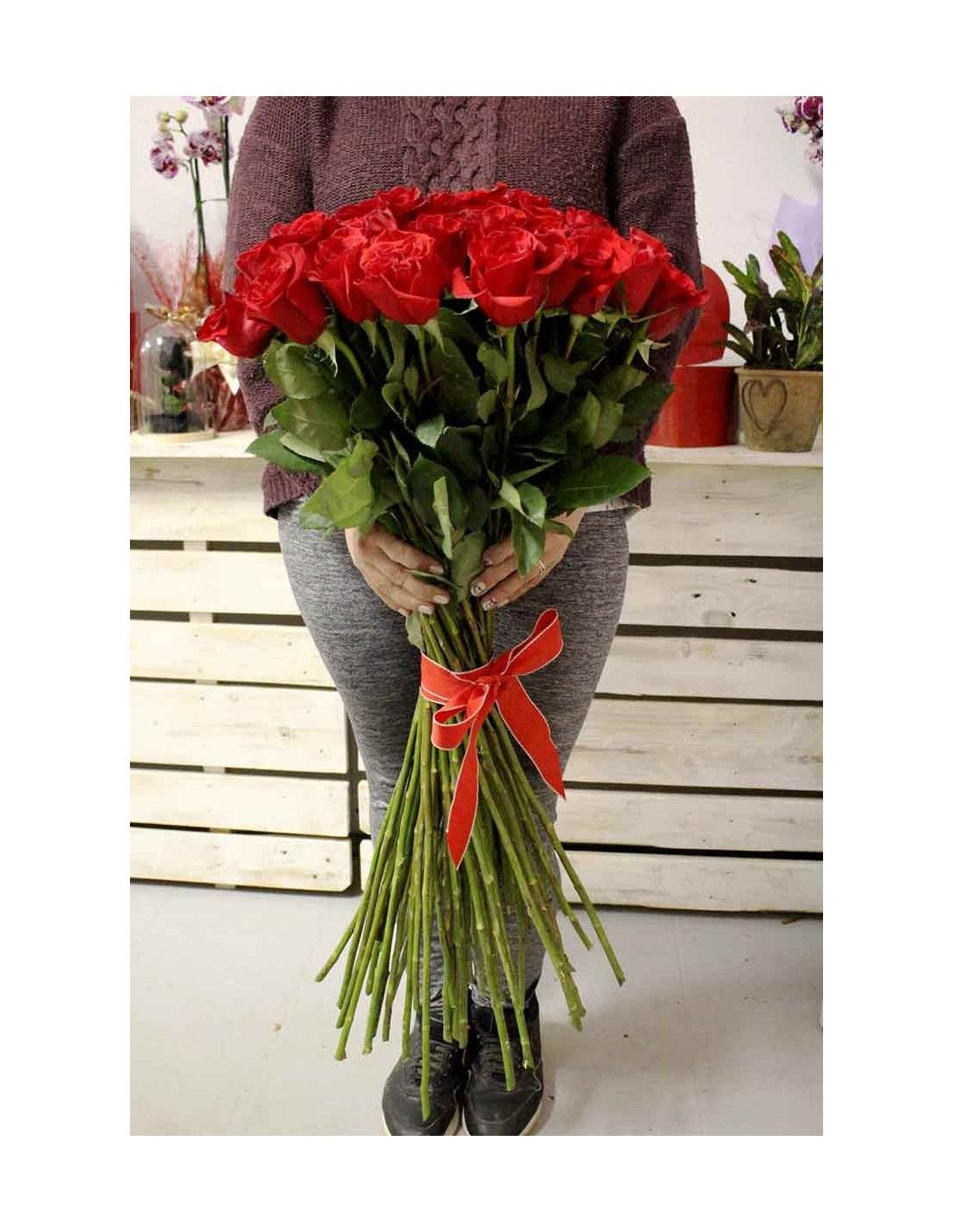 50 Rosenstiel 90 cm - Mallorca Florist