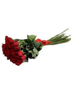 25 Rosenstiel 90 cm - Mallorca Florist