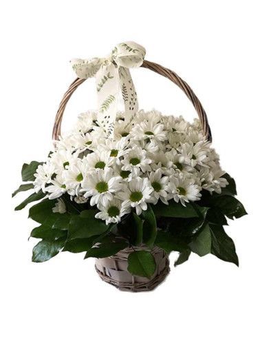 Chrysanthemenkorb - Florist Mallorca