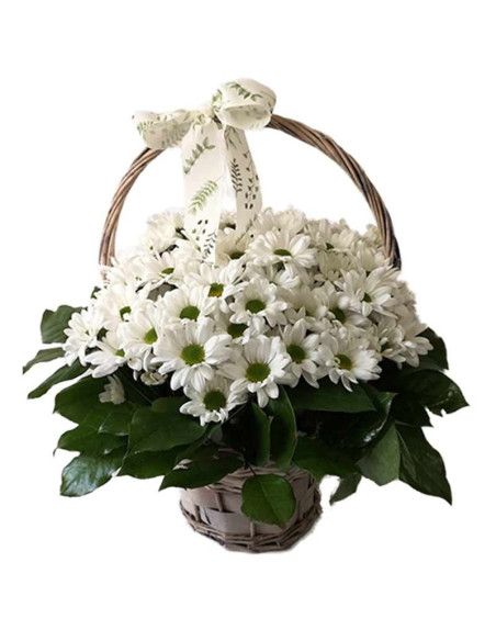 Chrysanthemenkorb - Florist Mallorca