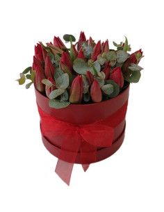 Caja de Tulipanes y eucalipto - Floristería Mallorca