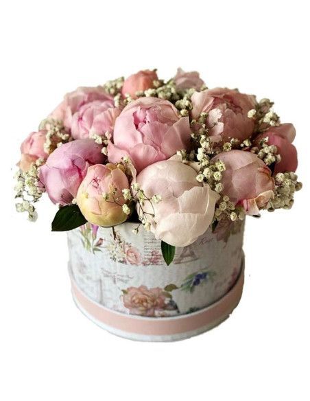 Schachtel mit 15 Pfingstrosen - Florist Mallorca