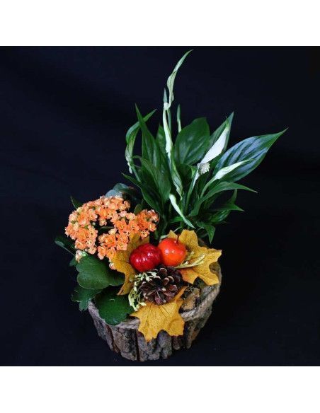 Composición de plantas otoñal - Floristería Mallorca