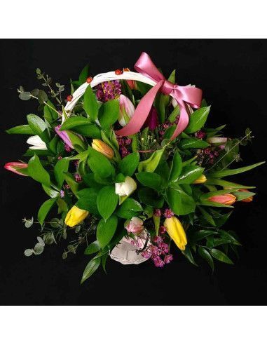 Cesta de tulipanes variados - Floristería Mallorca