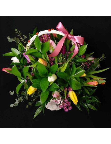 Cesta de tulipanes variados - Floristería Mallorca
