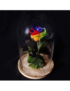Rosa Eterna en Cúpula Arcoíris | Floristería Mallorca