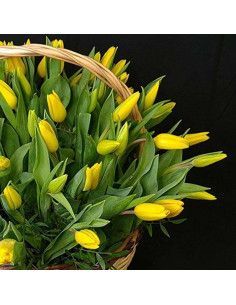 Panier Jardin de tulipes | Floristería Mallorca 2