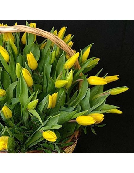 Cesta de Flores Jardín de Tulipanes | Floristería Mallorca