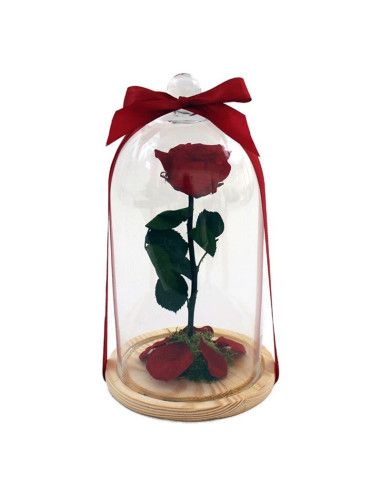 Rose éternelle La Belle et la Bête | Floristería Mallorca