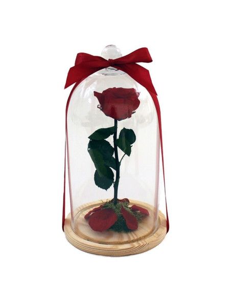 Rose éternelle La Belle et la Bête | Floristería Mallorca