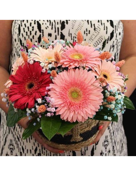 Gerbera-Korb - Mallorca Florist