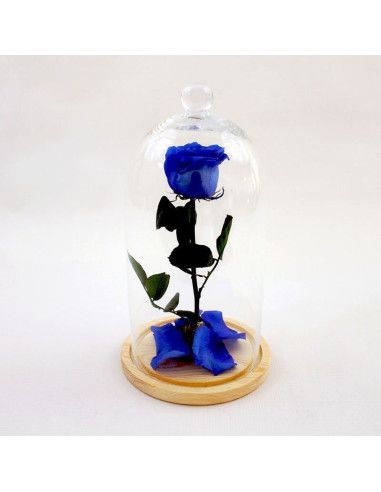 Rosa Bella y Bestia en Cúpula | 6 Colores | Floristería Mallorca