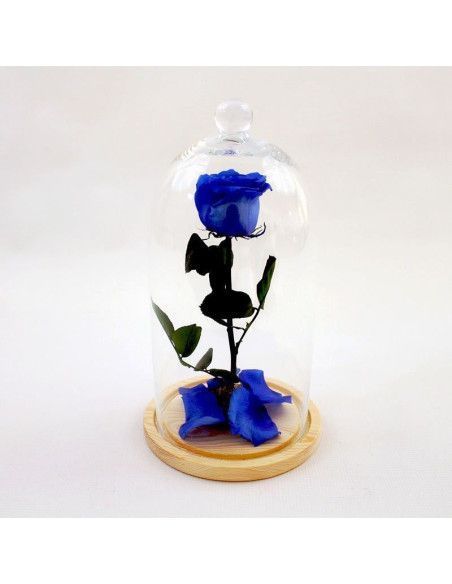 Rose éternelle La Belle et la Bête | Floristería Mallorca