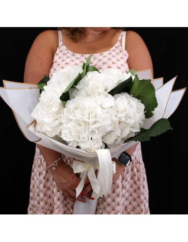 Bouquet d’hortensias | Livraison aujourd’hui à Majorque
