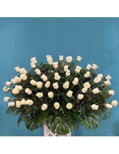 Bestattungsinstitut 50 weiße Rosen | Florist auf Mallorca