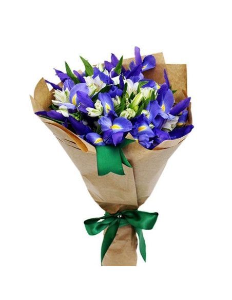 Iris & Alstroemeria Bouquet | Delivery in Mallorca