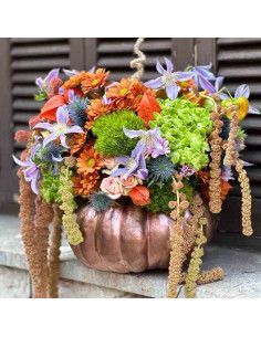 Calabaza halloween| Floristeria Mallorca