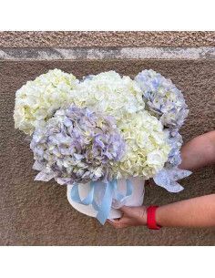 Hydrangea Box (Customizable) | Mallorca Florist