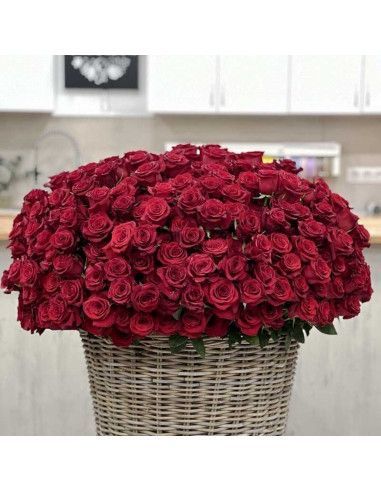 Rosenkorb (von 100 bis 501 Rosen) - Mallorca Florist