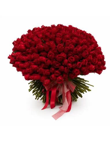 Ramo de 500 rosas