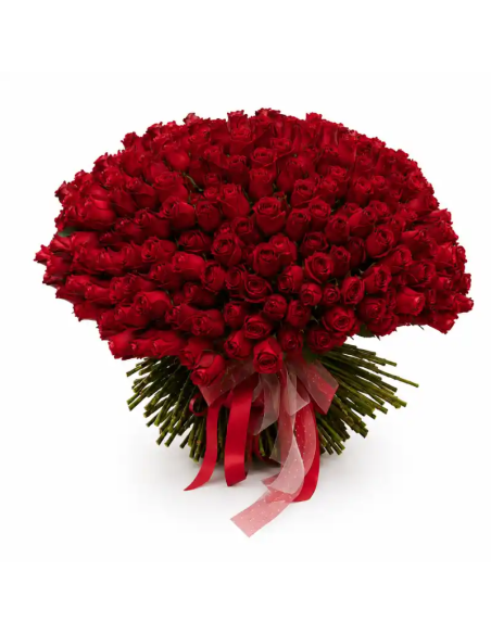 Ramo de 500 rosas