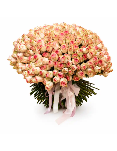 501 roses