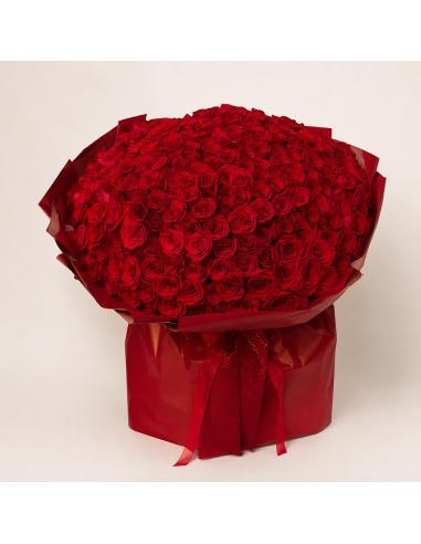 Riesiger Strauß roter Rosen (125-475) | Mallorca