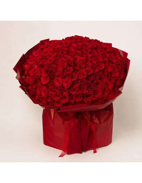 Riesiger Strauß roter Rosen (125-475) | Mallorca