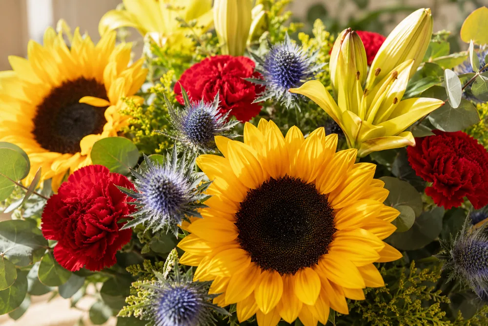 Girasoles, lilium, claveles y cardo azul en un ramo de verano