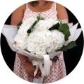 Ramos de hortensias