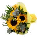 Ramos de girasoles