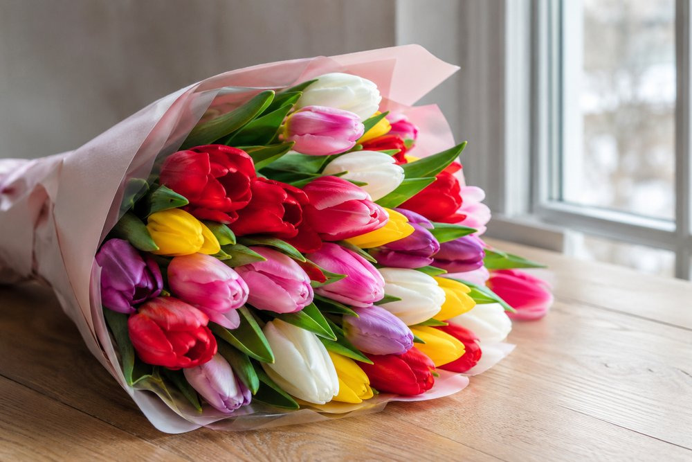 Tulips: types, care and the meaning of each colour